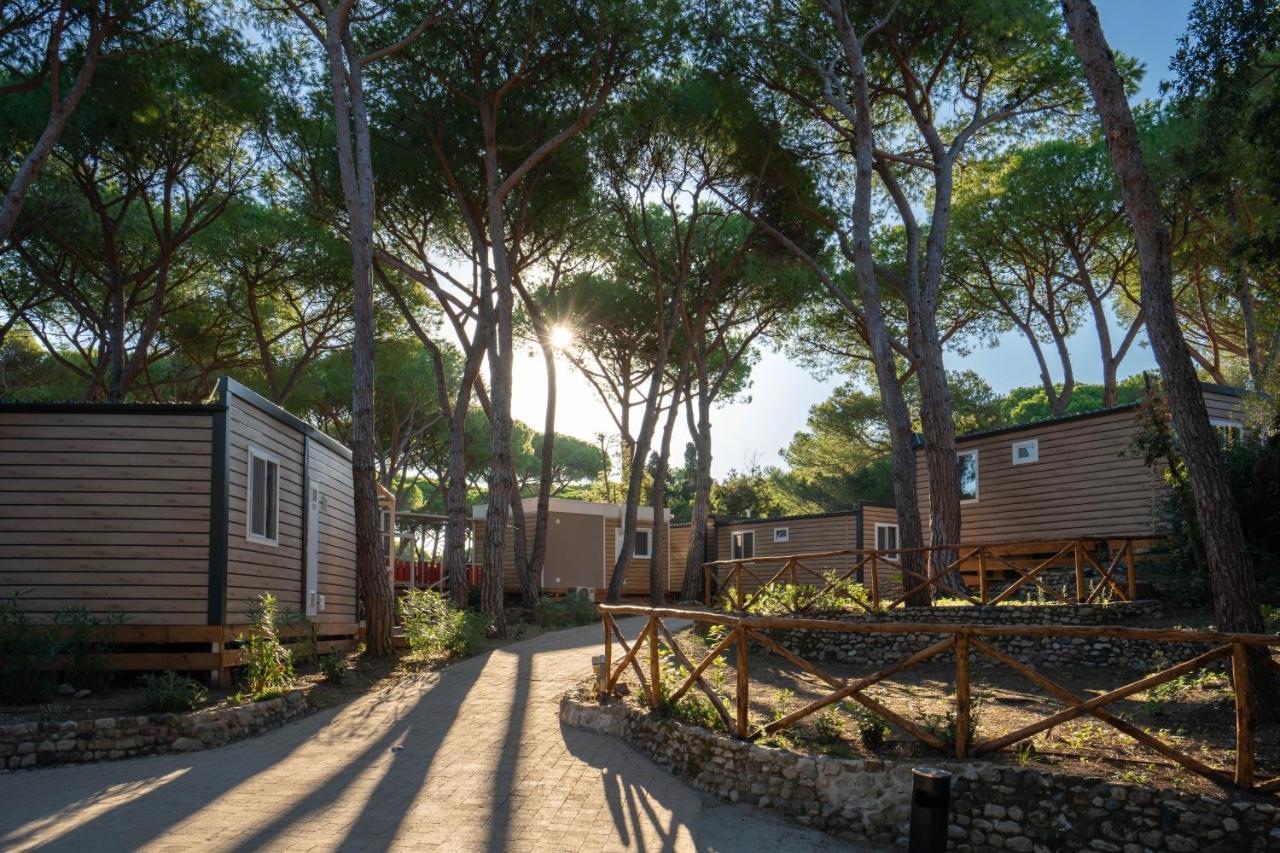 Camping Il Capannino Glamping Village Марина-ди-Биббона Экстерьер фото